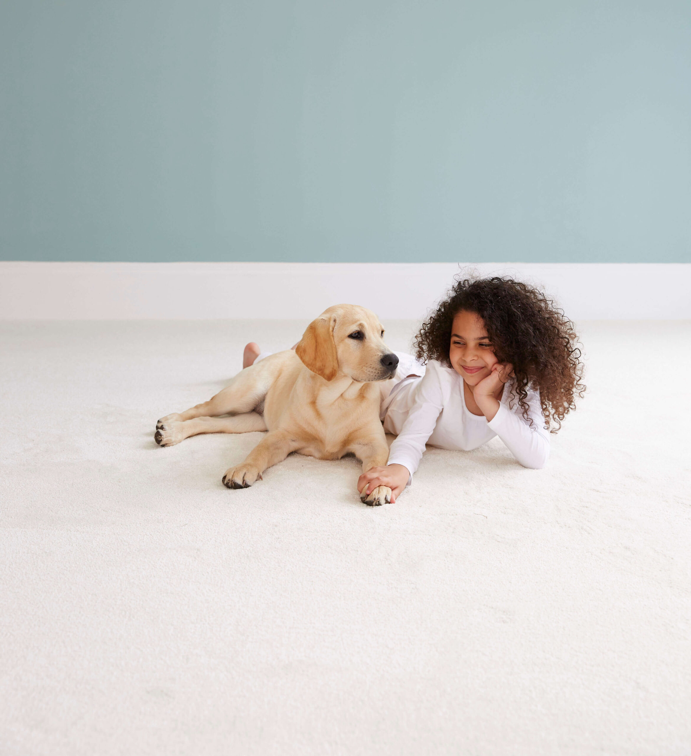 PetPleasure ProWeave Carpets