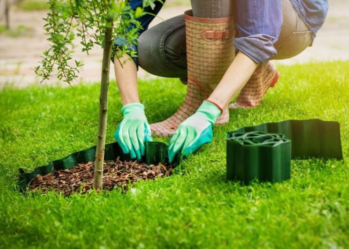 Tree or Garden Planting