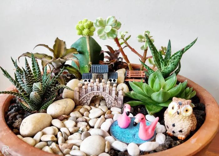 Mini Succulent Garden