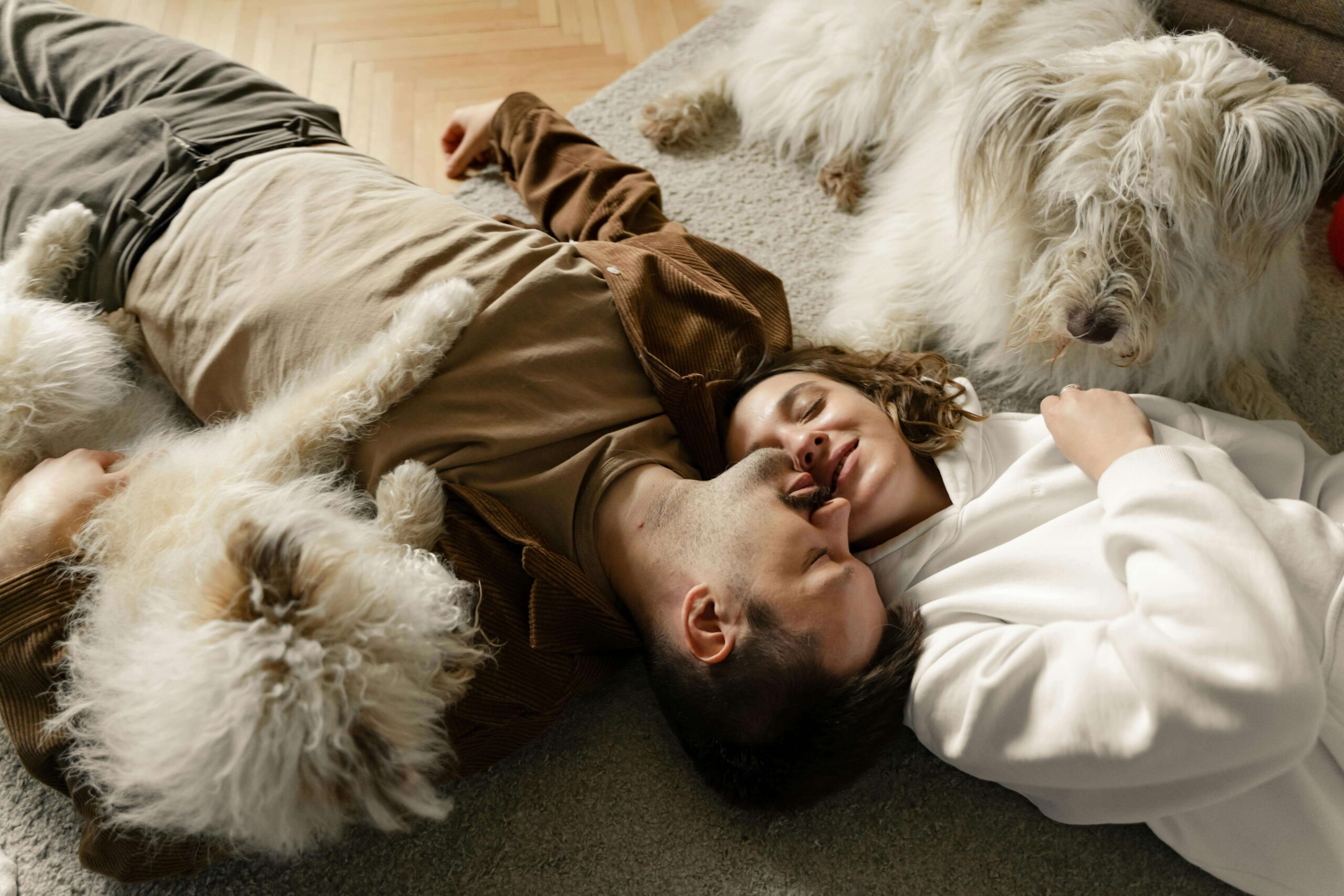 The Ultimate Guide to Best Carpet For Pets