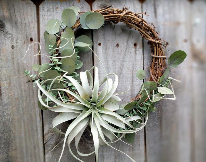 Air Plant Wreath