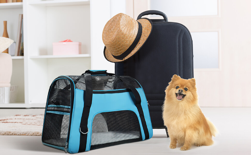 Travel Pet Carrier