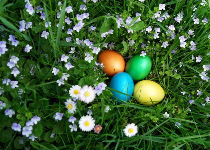 Discover 30+ Fun Ideas Of Easter Egg Hunt 2024