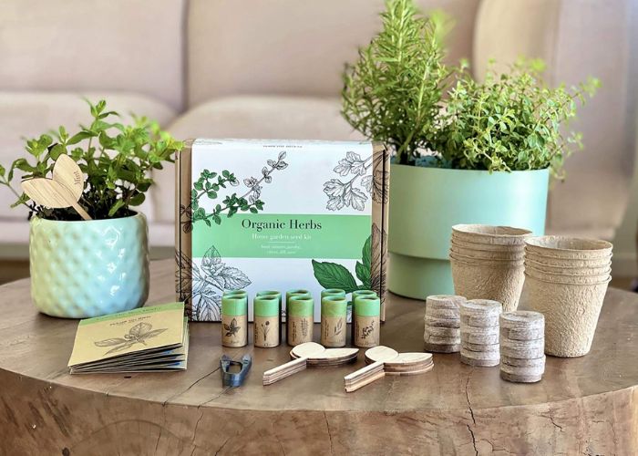 Garden Starter Kit As Gifts For Stay Home Moms