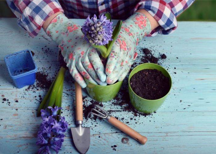 DIY Gardener's Hand Scrub As Garden Mother's Day Gift