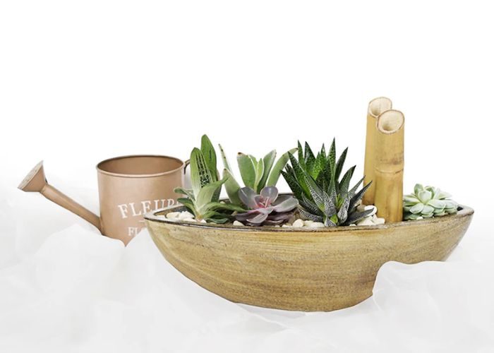 Succulent Serenity Basket As Mother's Day Garden Gift Ideas