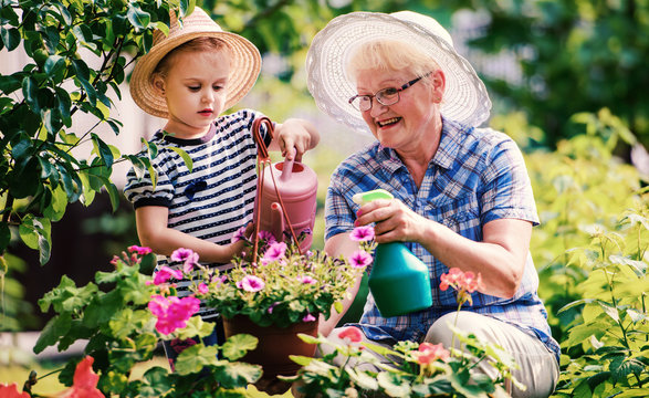 30+ Best Grandma Garden Gifts for Green-fingered Person