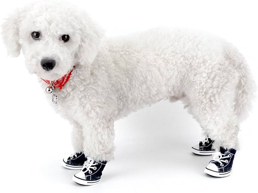 Dog Sneakers - Cute Father's Day Gifts Dog