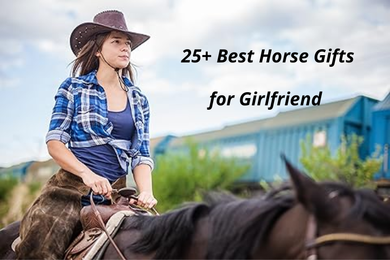 25+ Best Horse Gifts for Girlfriend to Conquer Her