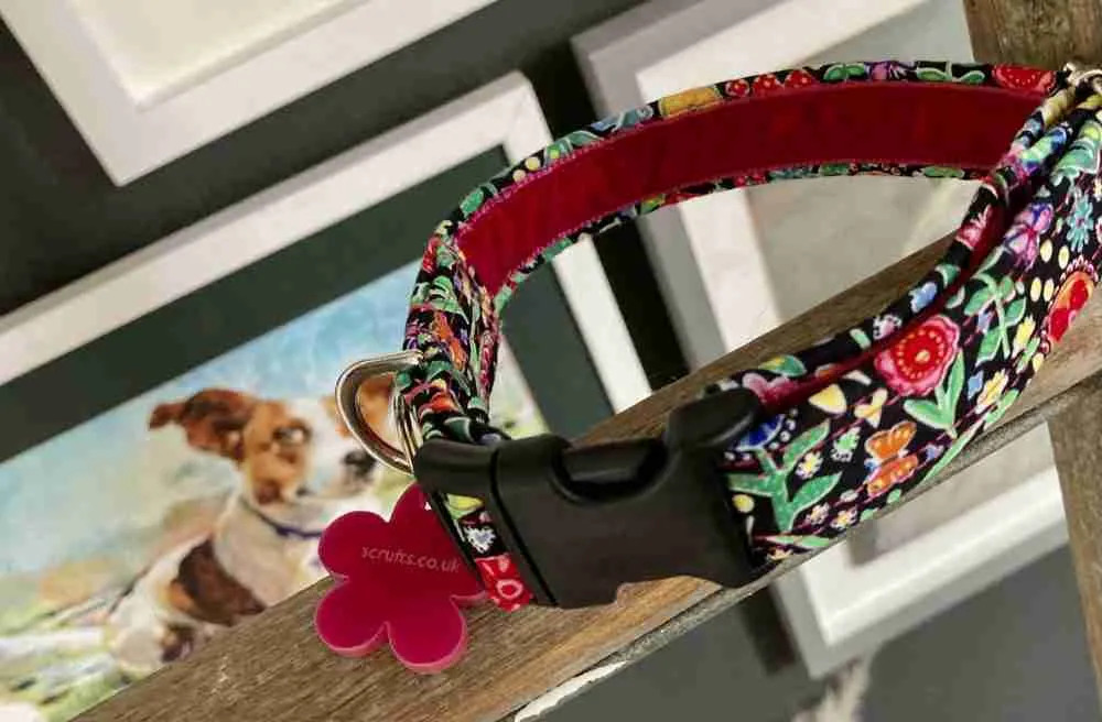 Customized Dog Collars - Dog Dad Gifts For Father's Day