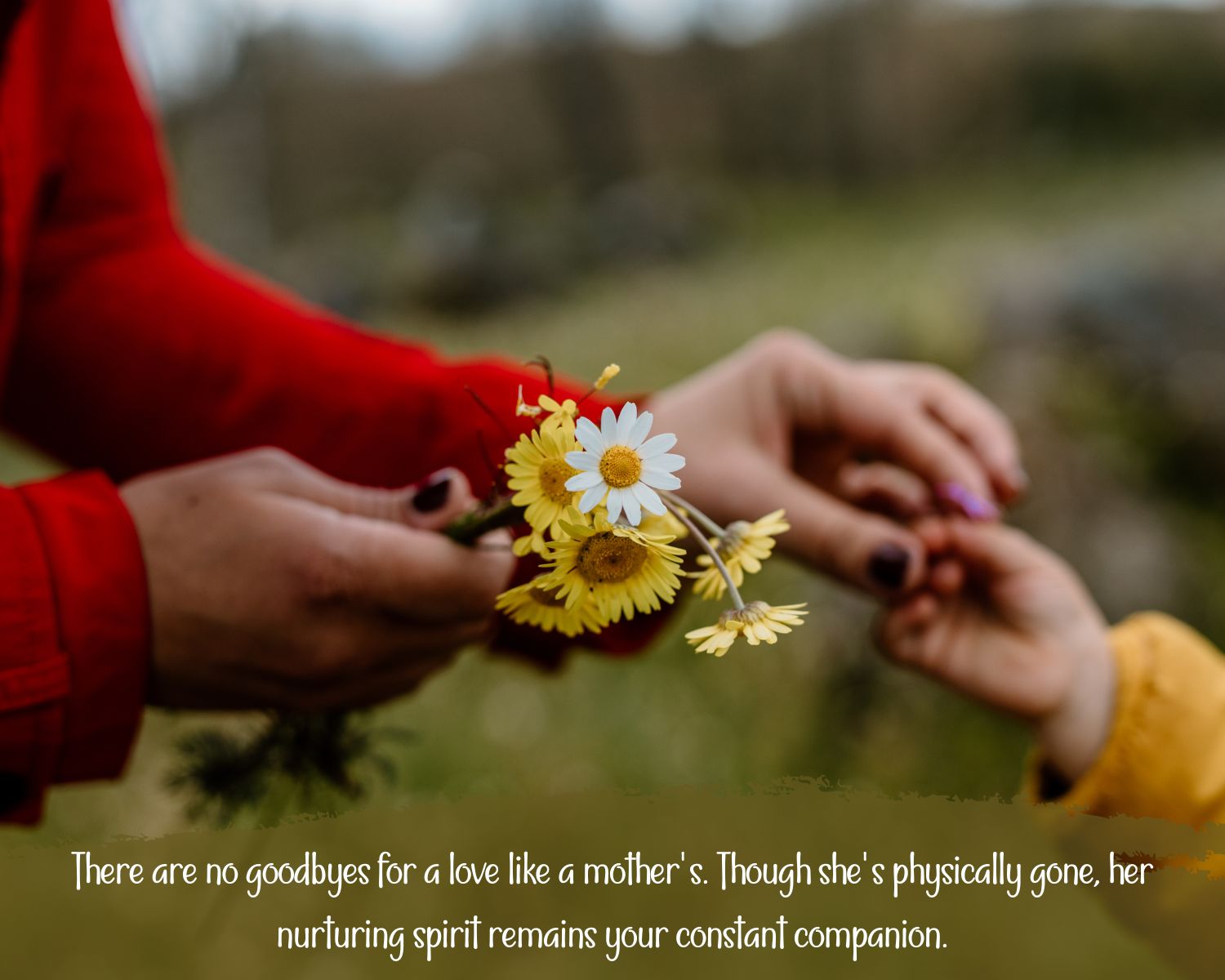 Two Hands Holding With Flowers