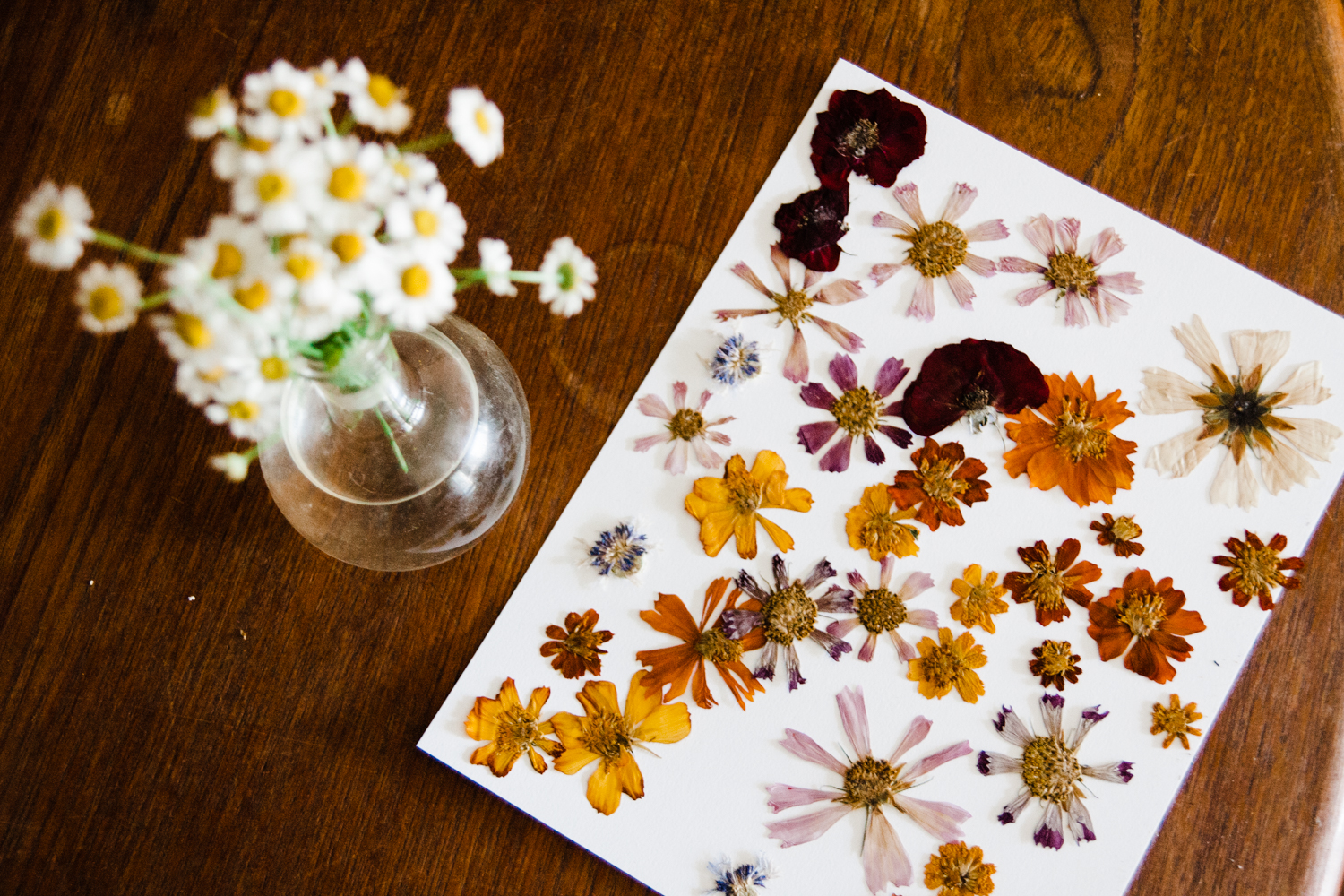 Pressed Flower Artwork