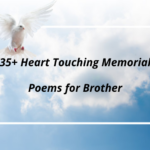 35+ Heart Touching Memorial Poems for Brother