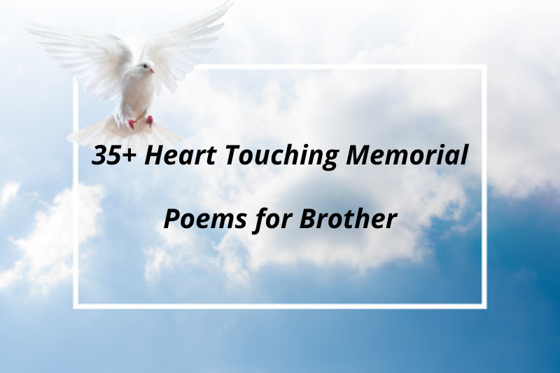 35+ Heart Touching Memorial Poems for Brother