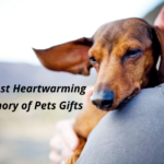 15+ Most Heartwarming In Memory of Pets Gifts