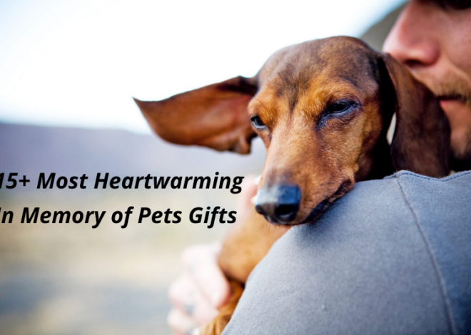 15+ Most Heartwarming In Memory of Pets Gifts