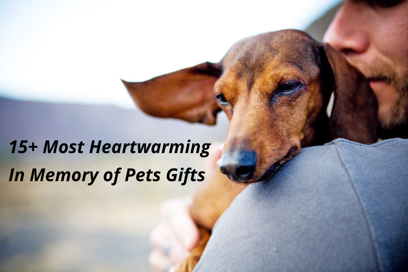 15+ Most Heartwarming In Memory of Pets Gifts