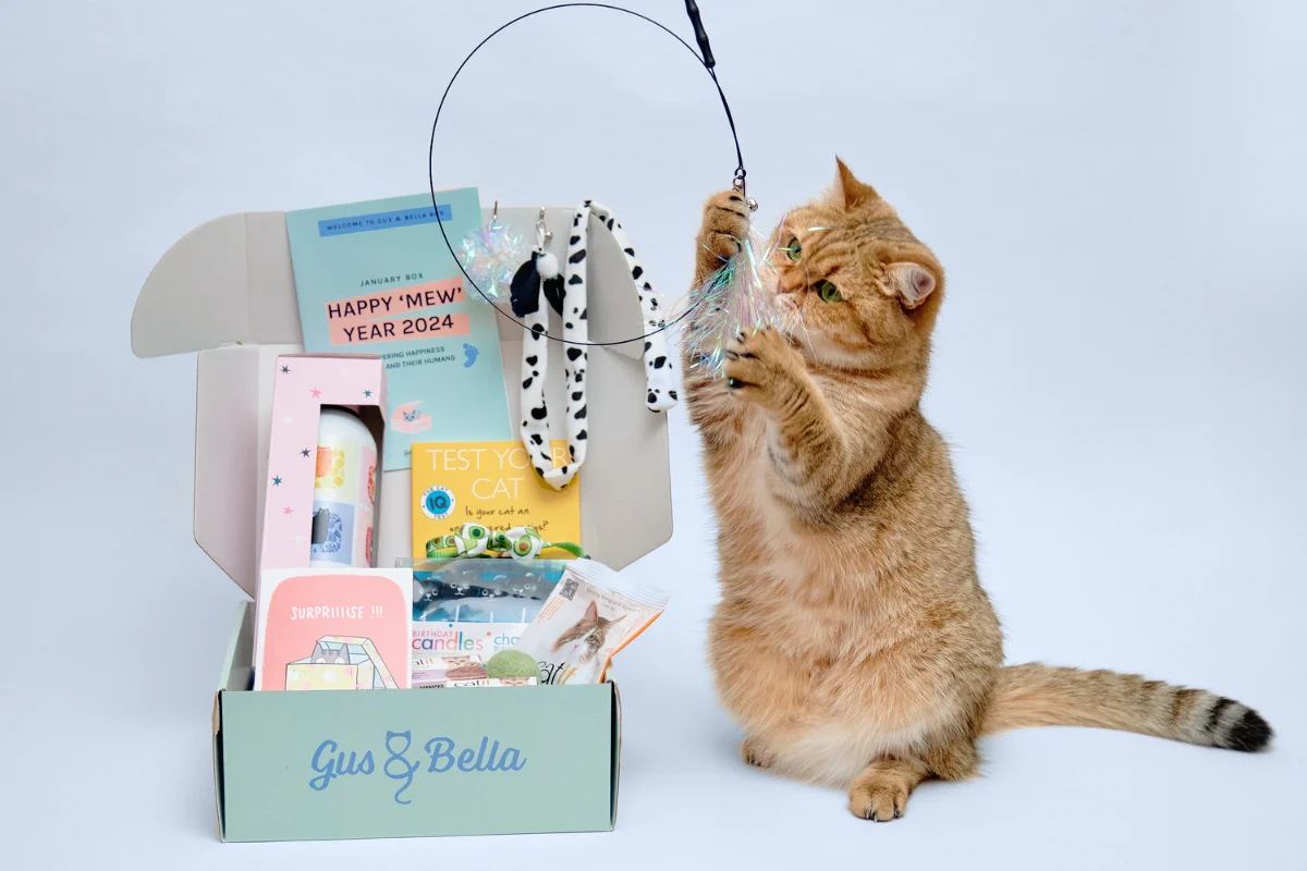 Cat Mom Subscription Box